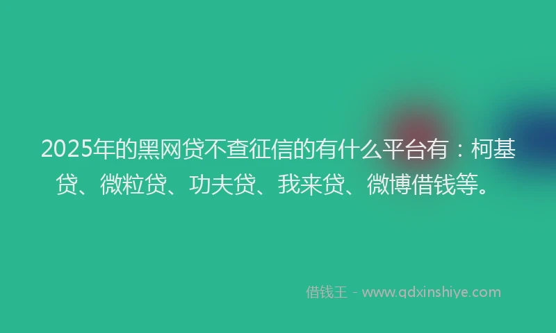 2025年的黑网贷不查征信的有什么平台有：柯基贷、微粒贷、功夫贷、我来贷、微博借钱等。