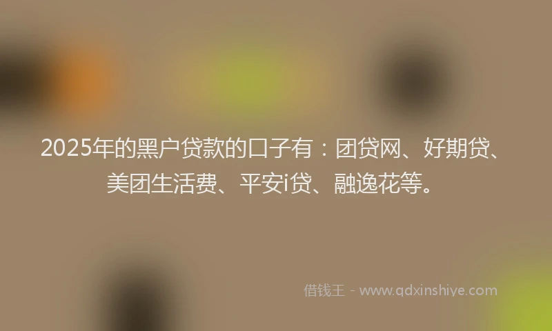 2025年的黑户贷款的口子有：团贷网、好期贷、美团生活费、平安i贷、融逸花等。