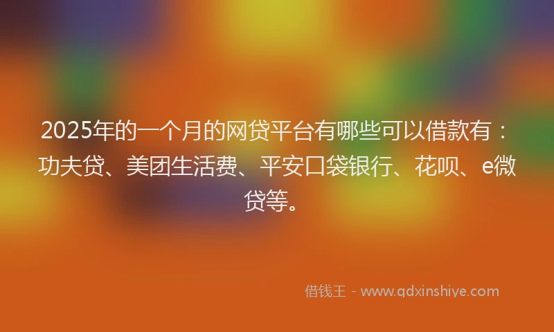2025年的一个月的网贷平台有哪些可以借款有：功夫贷、美团生活费、平安口袋银行、花呗、e微贷等。