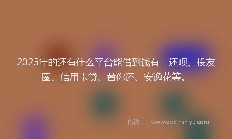 2025年的还有什么平台能借到钱有：还呗、投友圈、信用卡贷、替你还、安逸花等。