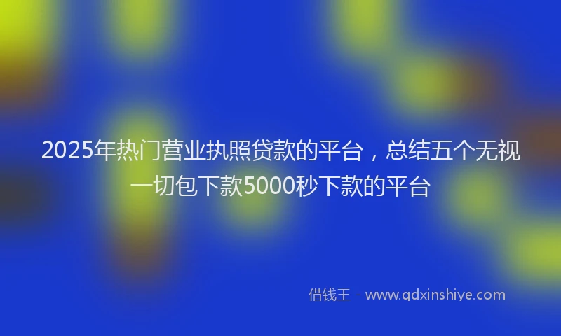 2025年热门营业执照贷款的平台，总结五个无视一切包下款5000秒下款的平台