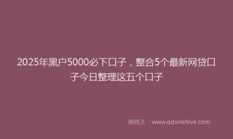2025年黑户5000必下口子，整合5个最新网贷口子今日整理这五个口子