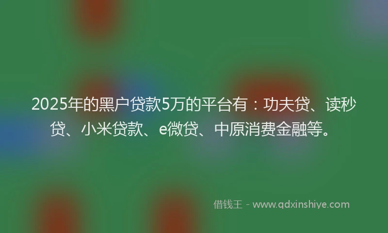 2025年的黑户贷款5万的平台有：功夫贷、读秒贷、小米贷款、e微贷、中原消费金融等。