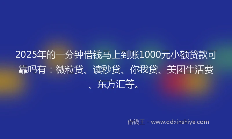 2025年的一分钟借钱马上到账1000元小额贷款可靠吗有：微粒贷、读秒贷、你我贷、美团生活费、东方汇等。