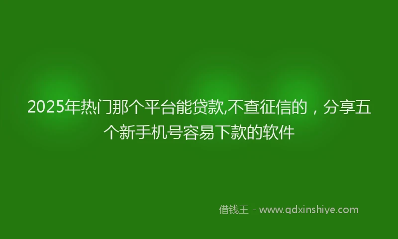 2025年热门那个平台能贷款,不查征信的，分享五个新手机号容易下款的软件