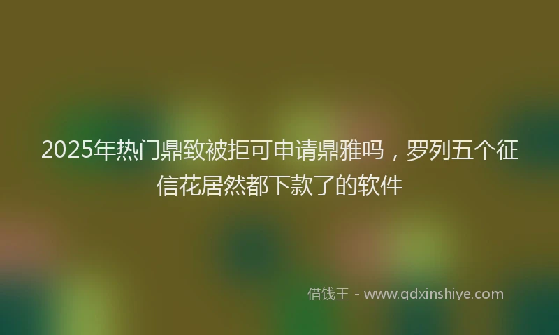2025年热门鼎致被拒可申请鼎雅吗，罗列五个征信花居然都下款了的软件