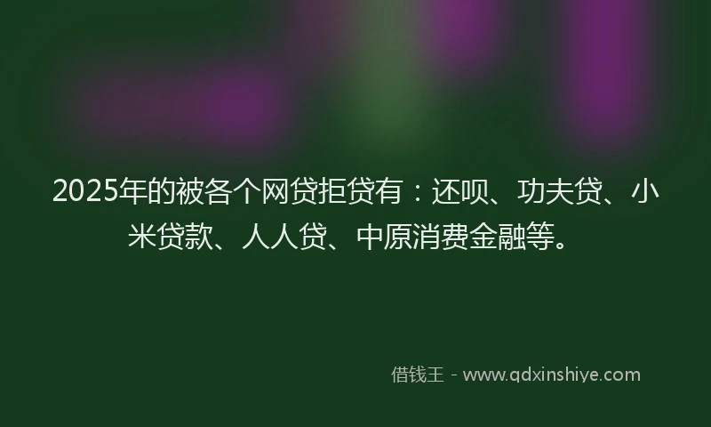 2025年的被各个网贷拒贷有：还呗、功夫贷、小米贷款、人人贷、中原消费金融等。