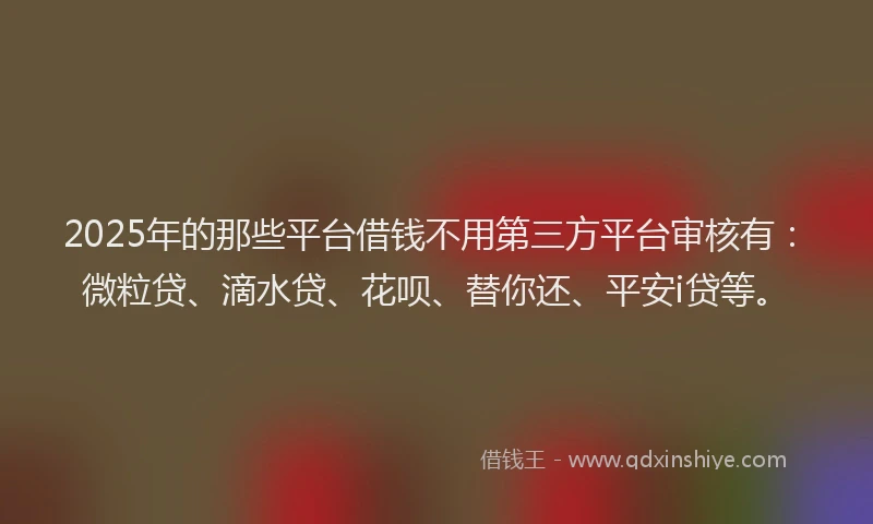 2025年的那些平台借钱不用第三方平台审核有：微粒贷、滴水贷、花呗、替你还、平安i贷等。