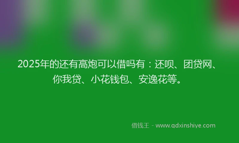 2025年的还有高炮可以借吗有：还呗、团贷网、你我贷、小花钱包、安逸花等。