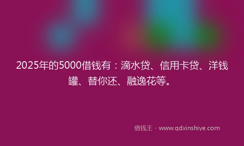 2025年的5000借钱有：滴水贷、信用卡贷、洋钱罐、替你还、融逸花等。