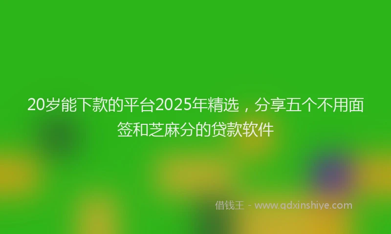 20岁能下款的平台2025年精选，分享五个不用面签和芝麻分的贷款软件