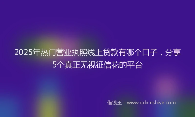 2025年热门营业执照线上贷款有哪个口子，分享5个真正无视征信花的平台