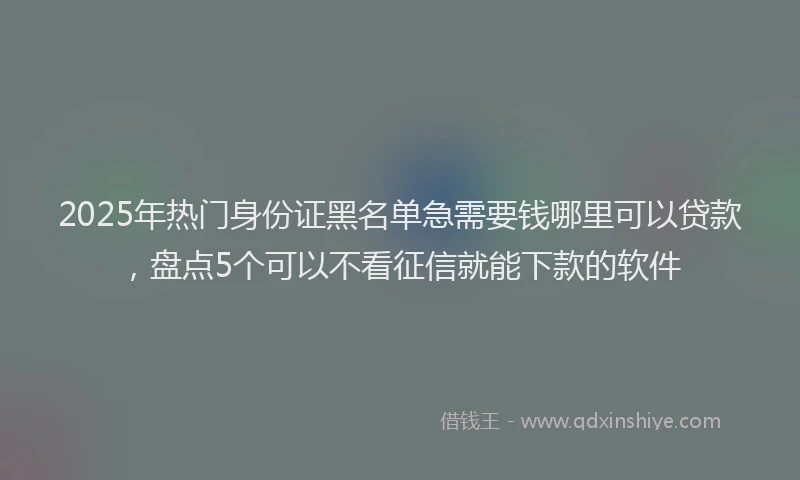 2025年热门身份证黑名单急需要钱哪里可以贷款，盘点5个可以不看征信就能下款的软件