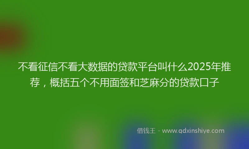 不看征信不看大数据的贷款平台叫什么2025年推荐，概括五个不用面签和芝麻分的贷款口子