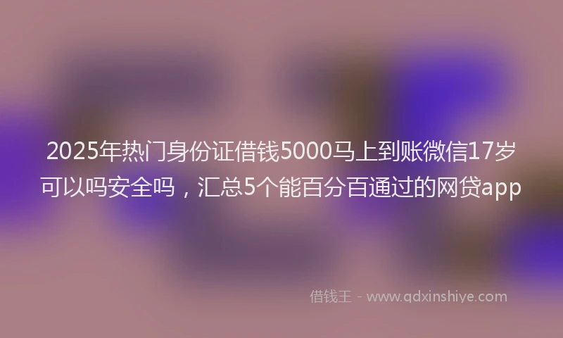 2025年热门身份证借钱5000马上到账微信17岁可以吗安全吗，汇总5个能百分百通过的网贷app
