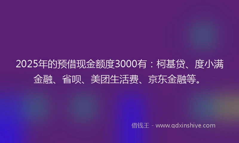 2025年的预借现金额度3000有：柯基贷、度小满金融、省呗、美团生活费、京东金融等。