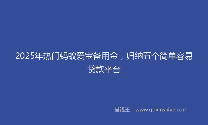 2025年热门蚂蚁爱宝备用金，归纳五个简单容易贷款平台