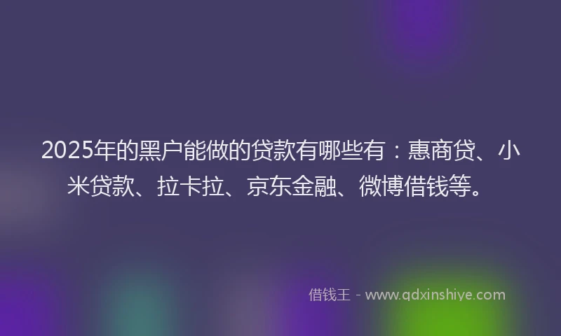 2025年的黑户能做的贷款有哪些有：惠商贷、小米贷款、拉卡拉、京东金融、微博借钱等。