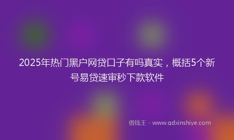 2025年热门黑户网贷口子有吗真实，概括5个新号易贷速审秒下款软件