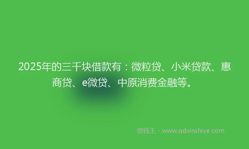 2025年的三千块借款有：微粒贷、小米贷款、惠商贷、e微贷、中原消费金融等。