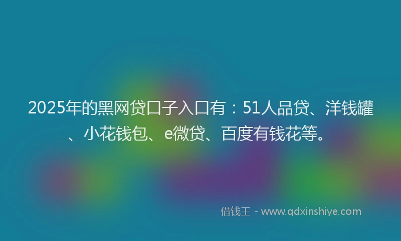 2025年的黑网贷口子入口有：51人品贷、洋钱罐、小花钱包、e微贷、百度有钱花等。
