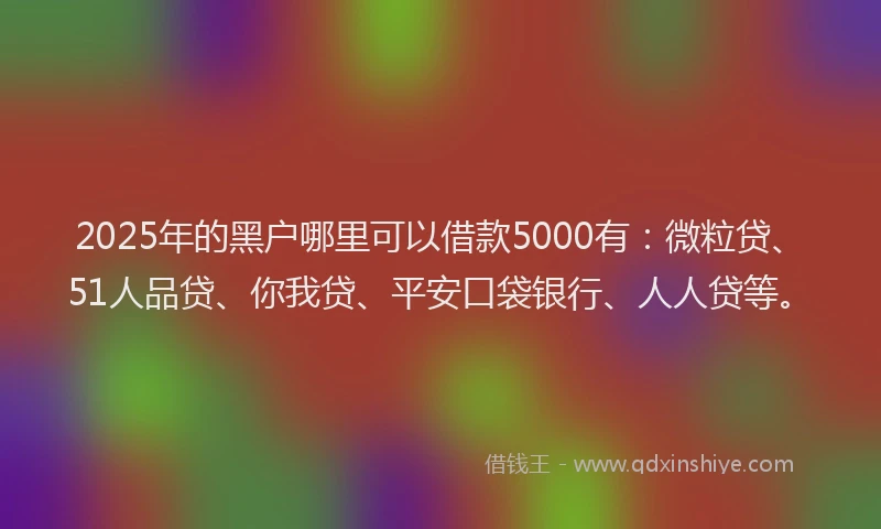2025年的黑户哪里可以借款5000有：微粒贷、51人品贷、你我贷、平安口袋银行、人人贷等。