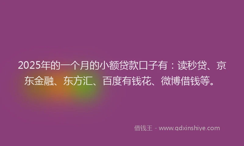 2025年的一个月的小额贷款口子有：读秒贷、京东金融、东方汇、百度有钱花、微博借钱等。