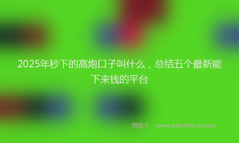 2025年秒下的高炮口子叫什么，总结五个最新能下来钱的平台