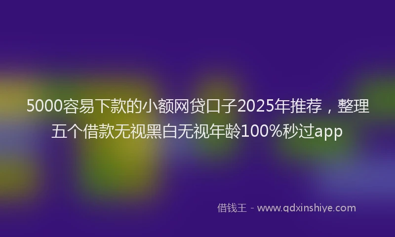 5000容易下款的小额网贷口子2025年推荐，整理五个借款无视黑白无视年龄100%秒过app