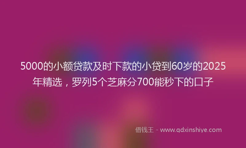 5000的小额贷款及时下款的小贷到60岁的2025年精选，罗列5个芝麻分700能秒下的口子