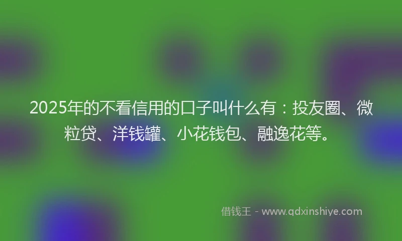 2025年的不看信用的口子叫什么有：投友圈、微粒贷、洋钱罐、小花钱包、融逸花等。