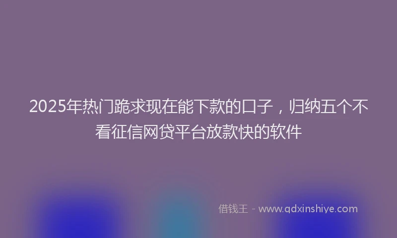 2025年热门跪求现在能下款的口子，归纳五个不看征信网贷平台放款快的软件