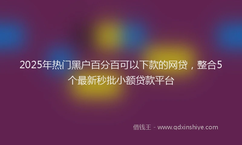 2025年热门黑户百分百可以下款的网贷，整合5个最新秒批小额贷款平台