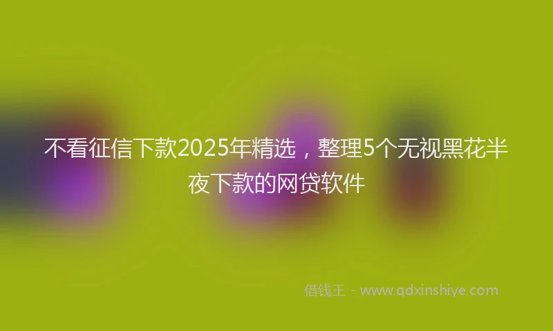 不看征信下款2025年精选，整理5个无视黑花半夜下款的网贷软件
