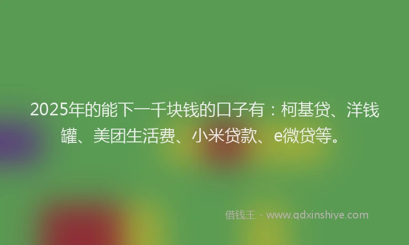 2025年的能下一千块钱的口子有：柯基贷、洋钱罐、美团生活费、小米贷款、e微贷等。