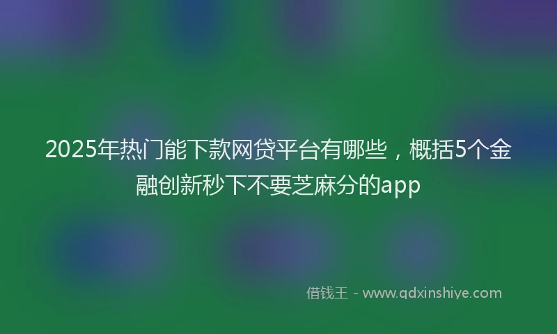 2025年热门能下款网贷平台有哪些，概括5个金融创新秒下不要芝麻分的app