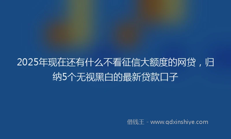 2025年现在还有什么不看征信大额度的网贷，归纳5个无视黑白的最新贷款口子