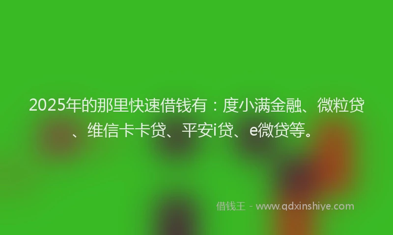 2025年的那里快速借钱有：度小满金融、微粒贷、维信卡卡贷、平安i贷、e微贷等。