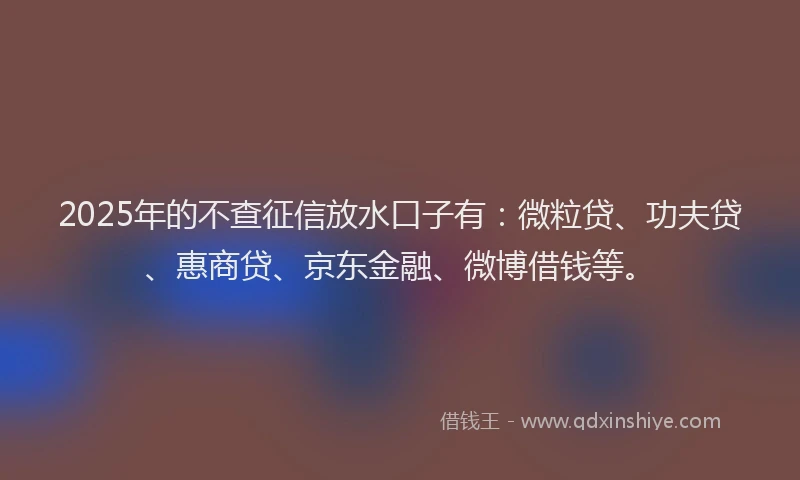 2025年的不查征信放水口子有：微粒贷、功夫贷、惠商贷、京东金融、微博借钱等。
