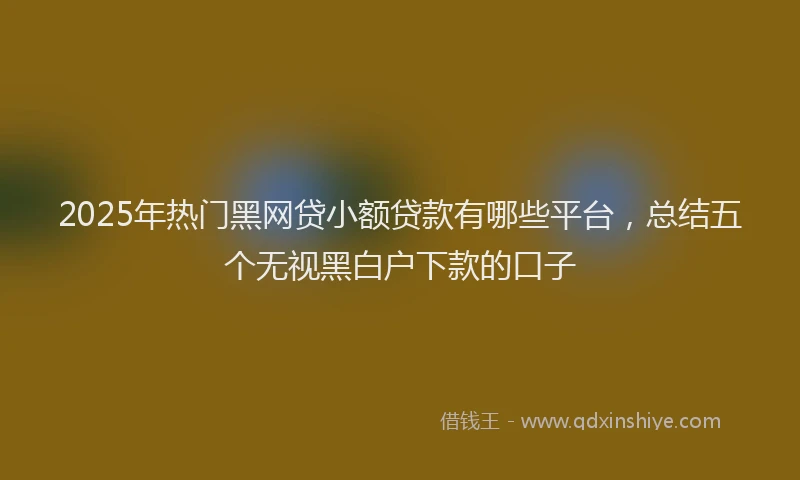2025年热门黑网贷小额贷款有哪些平台，总结五个无视黑白户下款的口子