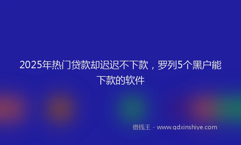 2025年热门贷款却迟迟不下款，罗列5个黑户能下款的软件