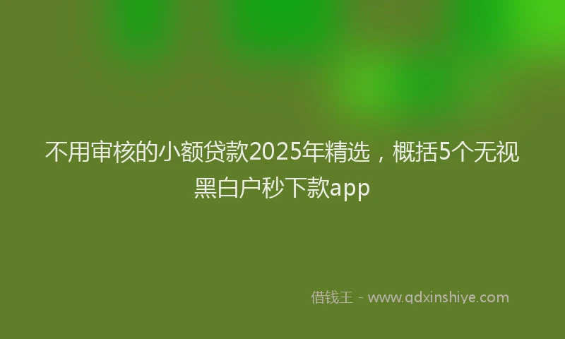 不用审核的小额贷款2025年精选，概括5个无视黑白户秒下款app