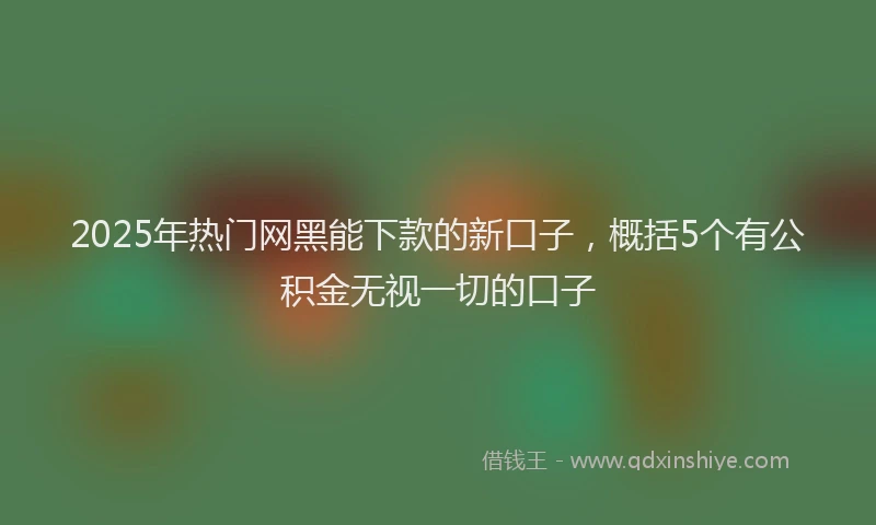 2025年热门网黑能下款的新口子，概括5个有公积金无视一切的口子