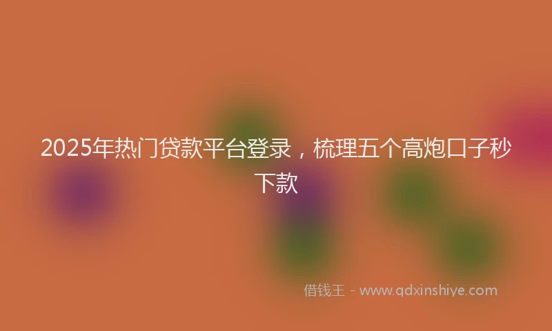2025年热门贷款平台登录，梳理五个高炮口子秒下款