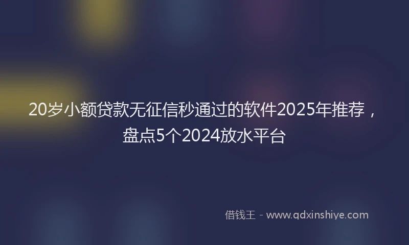 20岁小额贷款无征信秒通过的软件2025年推荐，盘点5个2024放水平台