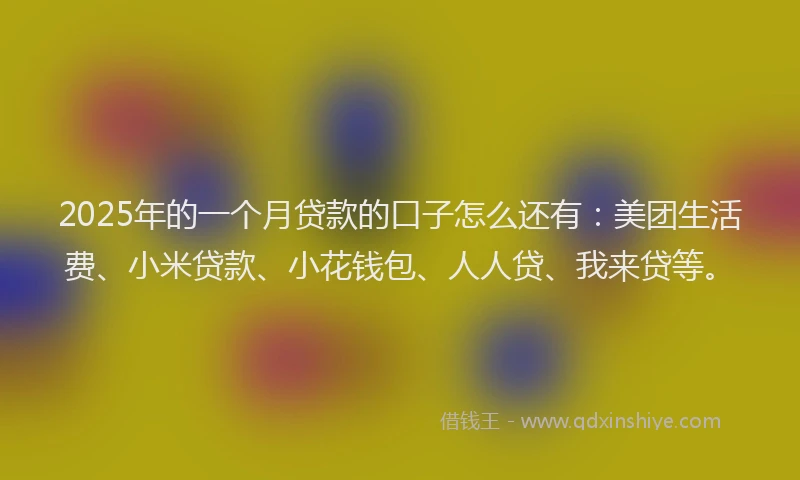 2025年的一个月贷款的口子怎么还有：美团生活费、小米贷款、小花钱包、人人贷、我来贷等。