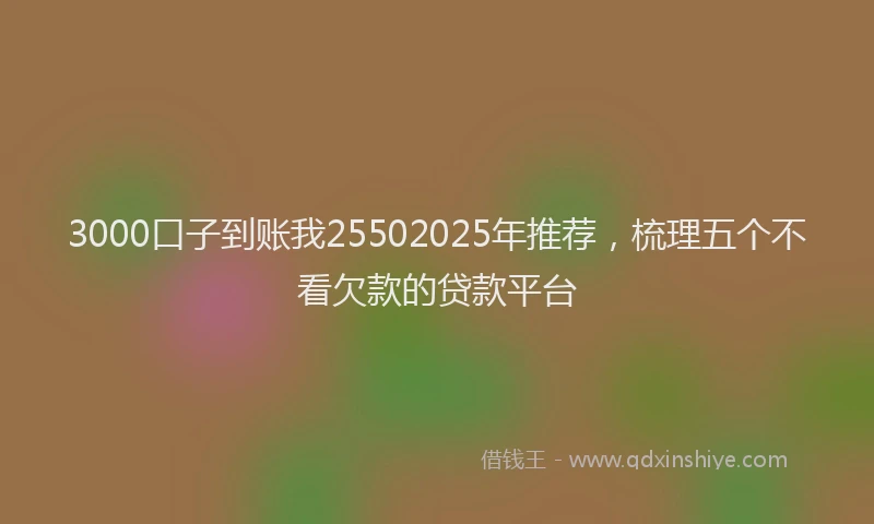 3000口子到账我25502025年推荐，梳理五个不看欠款的贷款平台