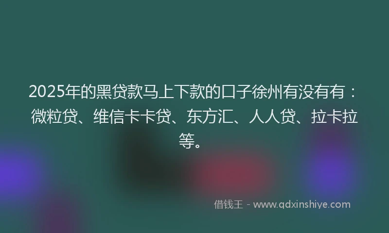 2025年的黑贷款马上下款的口子徐州有没有有：微粒贷、维信卡卡贷、东方汇、人人贷、拉卡拉等。