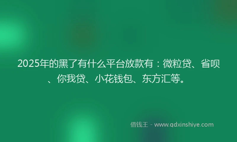 2025年的黑了有什么平台放款有：微粒贷、省呗、你我贷、小花钱包、东方汇等。