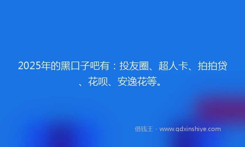 2025年的黑口子吧有：投友圈、超人卡、拍拍贷、花呗、安逸花等。